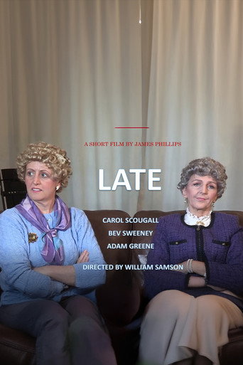 Movie poster for Late (2019)