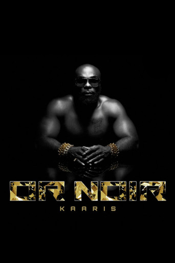 Movie poster for Kaaris Showcase au Palacio (2013)