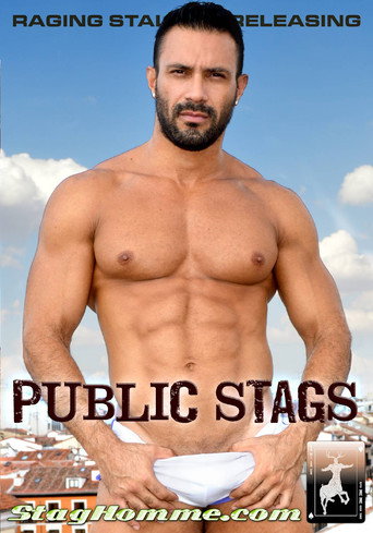Movie poster for Public Stags (2014)
