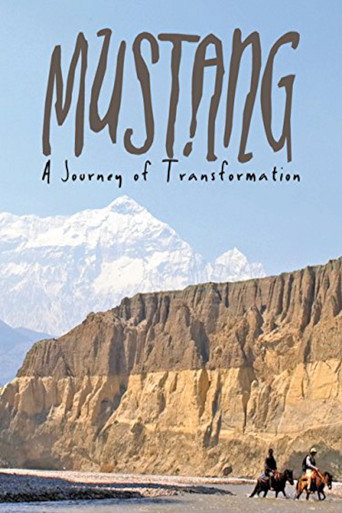 Movie poster for Mustang: Journey of Transformation (2009)