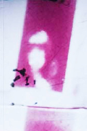 Movie poster for Frames (1973)