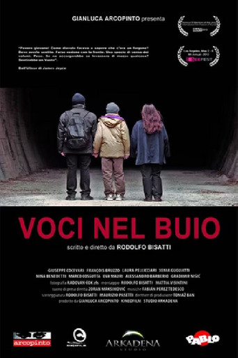 Movie poster for Voices in the Dark (2013)