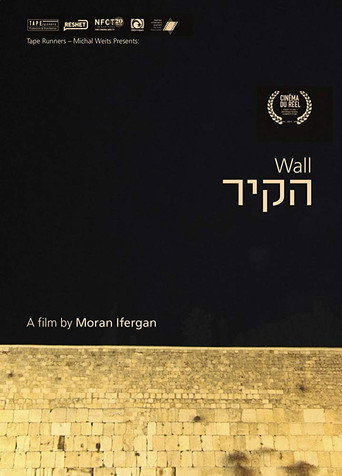 Movie poster for Wall (2017)