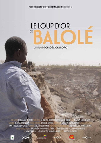 Movie poster for Le loup d'or de Balolé (2019)