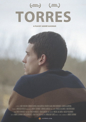 Movie poster for Torres (2013)