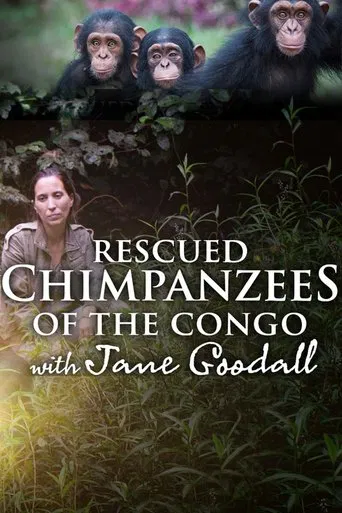 Rescued Chimpanzees of the Congo with Jane Goodall poster