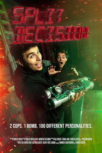 Movie poster for Split Decision (2024)