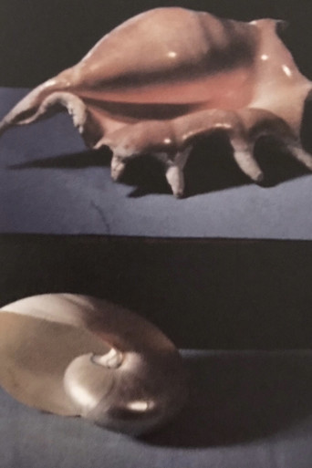 La Piccola Noia poster