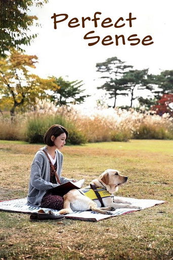Perfect Sense poster