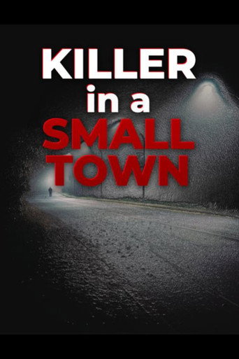 Killer in a Small Town poster