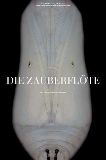 Movie poster for Mozart: Die Zauberflöte (2018)