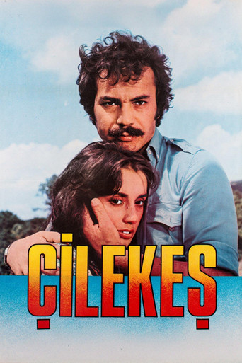 Çilekeş poster