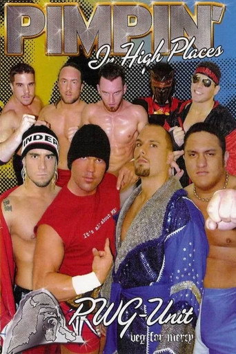 Movie poster for PWG: Pimpin' In High Places (2003)