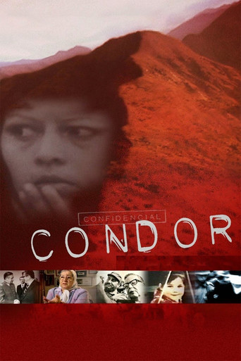 Movie poster for Condor (2007)