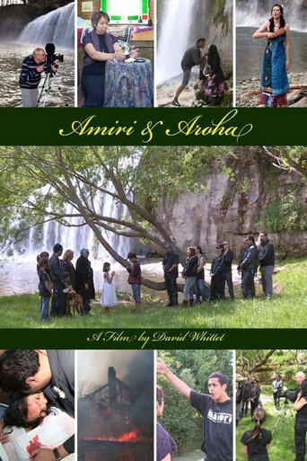 Movie poster for Amiri & Aroha (2011)