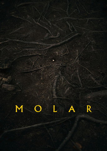 Movie poster for Molar