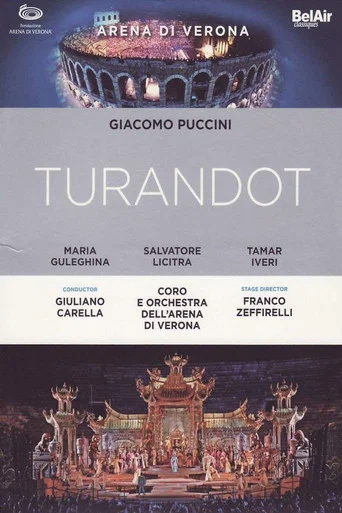 Movie poster for Turandot - Puccini - Live from Verona (2011)