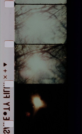 Movie poster for Signaux lumineux pour un ballet nuptial (1983)