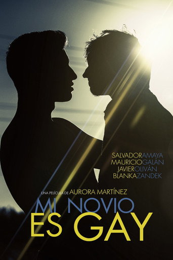 Movie poster for My Boyfriend Is Gay (2015)