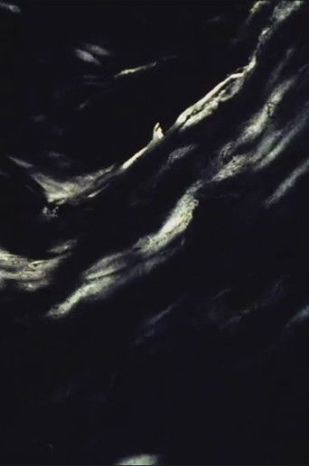 Painted Earth poster