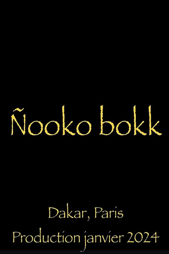 Nooko Bokk poster