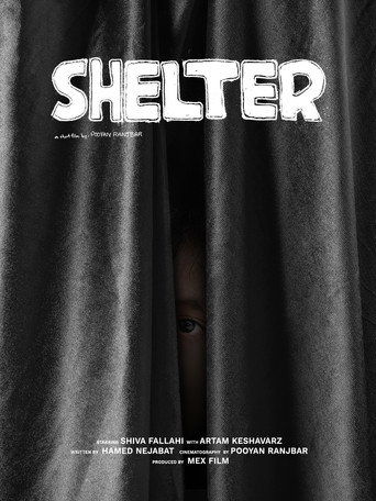 Movie poster for Shelter (2025)