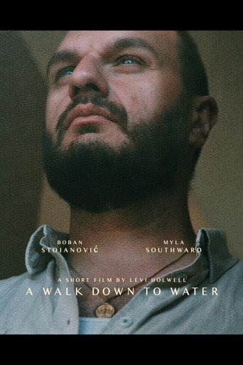 Movie poster for A Walk Down to Water (2019)