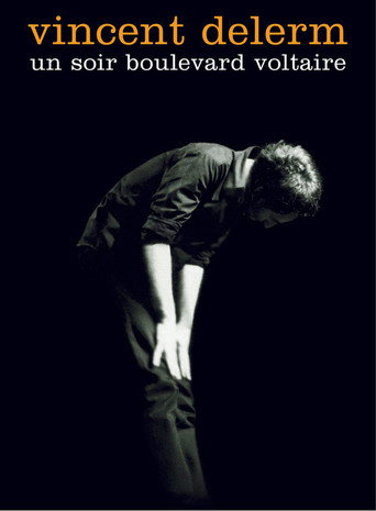 Movie poster for Vincent Delerm - Un soir boulevard Voltaire (2003)
