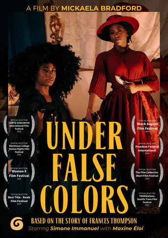 Movie poster for Under False Colors (2024)