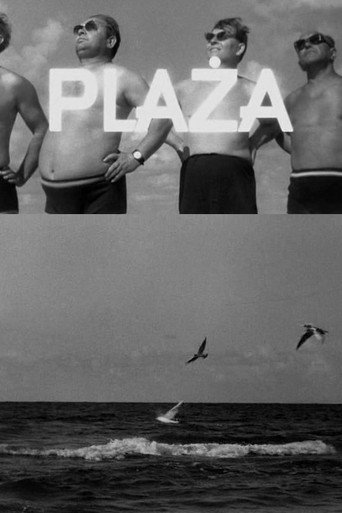 Movie poster for The Beach (1964)