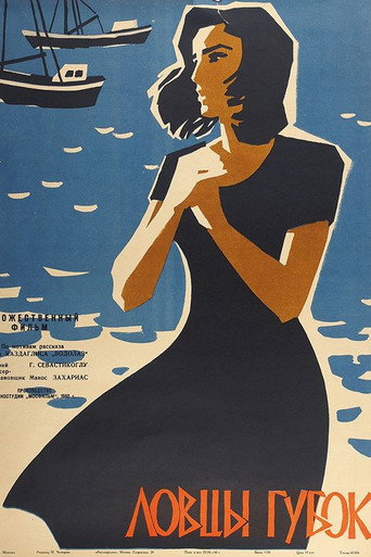 Sponge Catchers poster