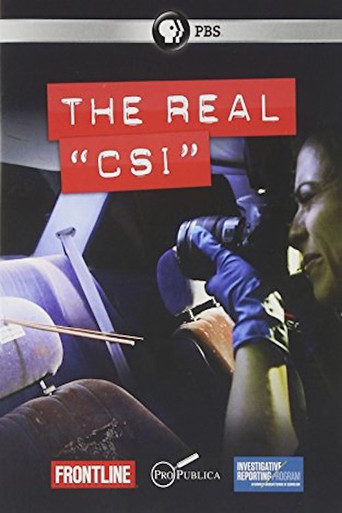 Movie poster for The Real CSI (2012)