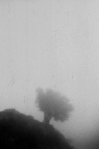 Movie poster for Only If You Could See a View Above the Clouds (2023)