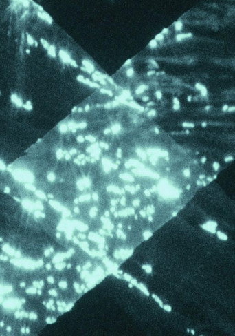 Movie poster for Light Trap (2021)