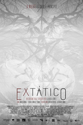 Extático poster