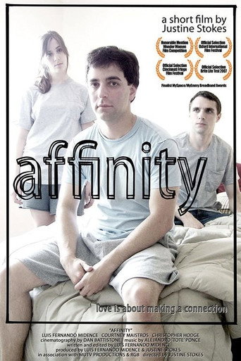 Movie poster for Affinity (2008)
