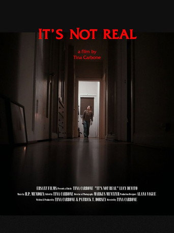 It's Not Real poster