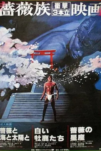 Rose Constellation poster