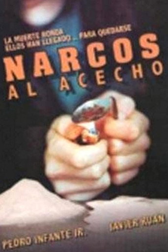 Movie poster for Narcos al acecho (1988)