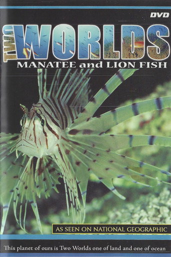 Series poster for Two Worlds (1998)