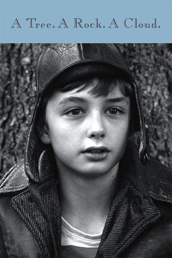 A Tree a Rock a Cloud poster