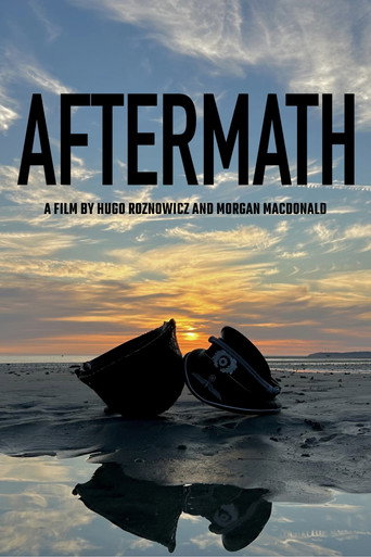 Movie poster for Aftermath (2025)