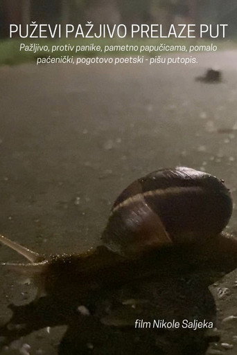 Movie poster for Snails Steadily Stroll the Street (2024)
