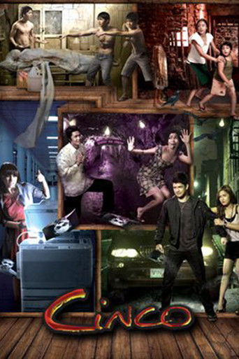 Cinco poster