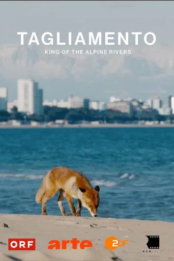 Movie poster for Tagliamento - King of The Alpine Rivers (2024)