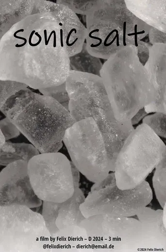 Movie poster for sonic salt (2025)