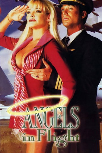 Movie poster for Angels in Flight (1995)