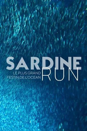 Movie poster for Sardine Run, le plus grand festin de l'océan (2022)