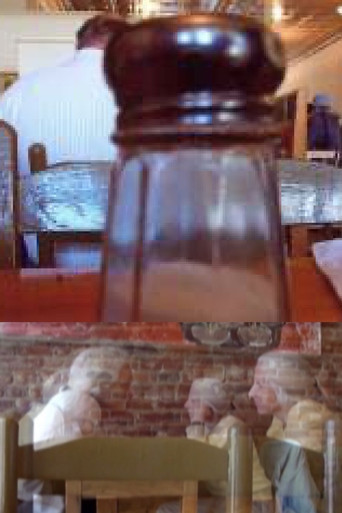 Movie poster for THE SALT SHAKER AND THE MOON (2009)