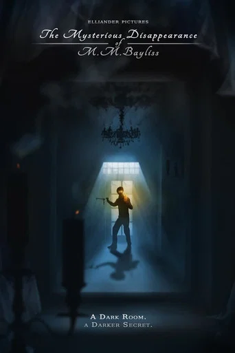 Movie poster for The Mysterious Disappearance of M.M. Bayliss (2013)